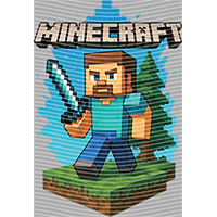 Minecraft-MN 123